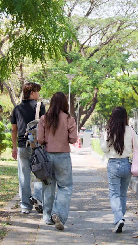Group of Asian University Students Walking Together on a Sunny Campus Sidewalk Stock Footage 332273744