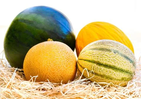 Group of assorted melons Stock Photos