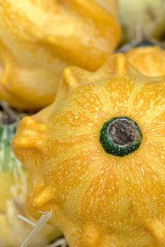 Group of assorted pattypans, close up shot Stock Photos
