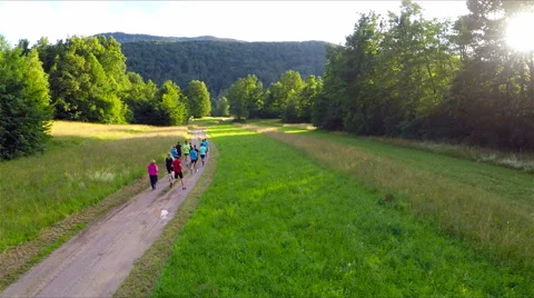 Group of athletes running together on a 10km long nature trail Stock Footage