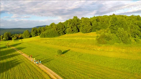 Group of athletes running together Stock Footage 65135065