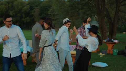 Group of attractive multi-race young people dancing outdoor in the park. Excited Stock Footage 117257875