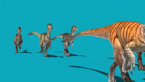 Group of Austroraptors Walks Blue Screen Front Dinosaurs 3D Rendering Animat Stock Footage 148829576