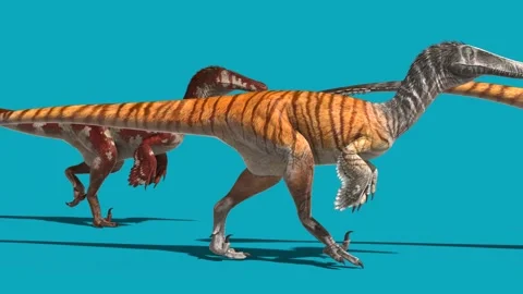 Group of Austroraptors Walks Blue Screen Side Dinosaurs 3D Rendering Animati Stock Footage 148829601