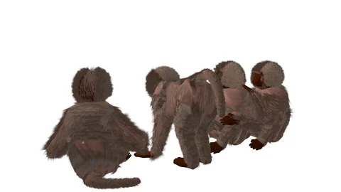 GROUP OF BABOONS BACK LEFT VIEW Vídeos de archivo 101748570