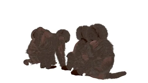 GROUP OF BABOONS BACK RIGHT VIEW Stock-Footage 101748625