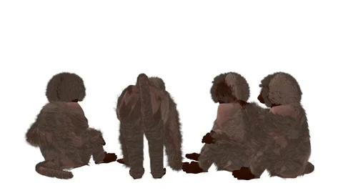 GROUP OF BABOONS BACK VIEW Stock-Footage 101751291