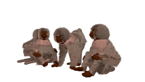 GROUP OF BABOONS FRONT LEFT VIEW Vídeos de archivo 101751113