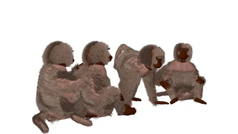 GROUP OF BABOONS FRONT RIGHT VIEW Vídeos de archivo 101753874