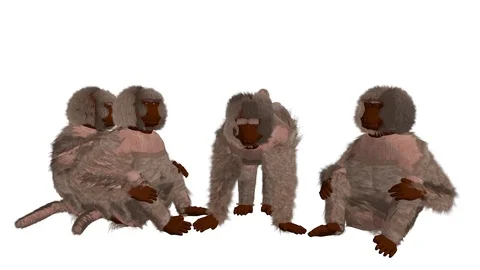 GROUP OF BABOONS FRONT VIEW Vídeos de archivo 101754708