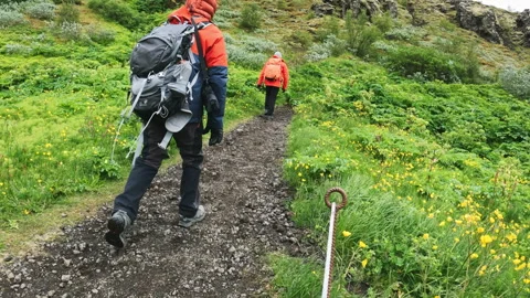 Group of backpacker man explore walking ... | Stock Video | Pond5