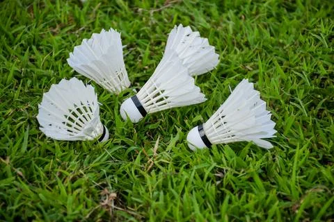 Group of badminton shutter cocks on green grass background Stock Photos