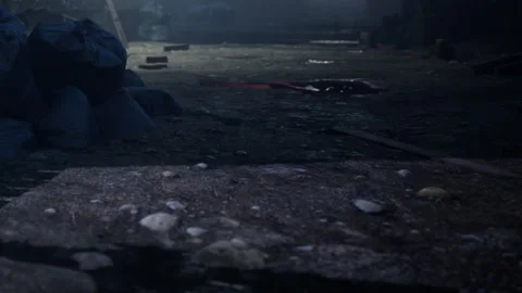 Group of bags on a dimly lit ground near scattered trash and puddles Stock Footage 344108518