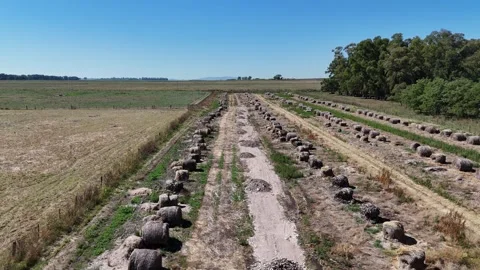 Group of bales in rows at field, Drone Footage 4K Stock Footage 301538277