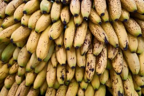 Group of bananas Stock Photos