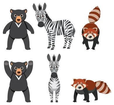 Group of Bear, Zebra, Red Panda Cartoon in Simple Style Illustrazione stock