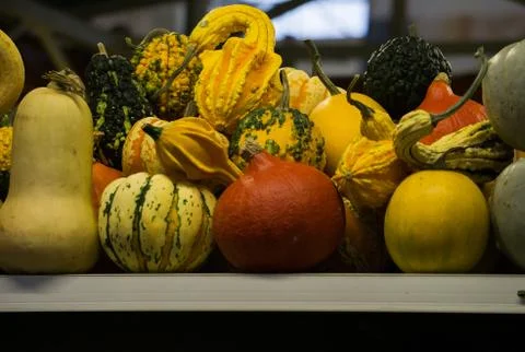 Group of beautiful multi-colored pumpkins close-up on a shelf in the market. Stock Photos