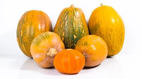 Group of beautiful pumpkins isolated on a white background. he concept of aut Stock Photos