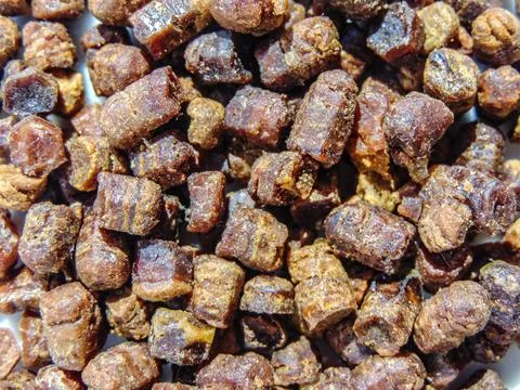 Group of bee bread. Macro bee bread 库存照片