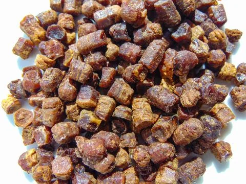 Group of bee bread. Macro bee bread 库存照片