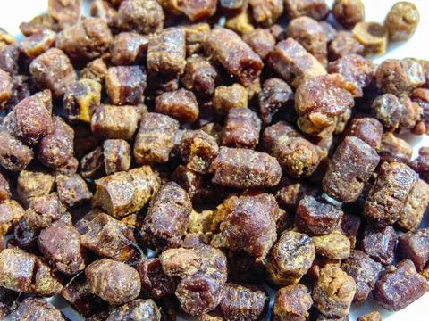 Group of bee bread. Macro bee bread Stockfoto's
