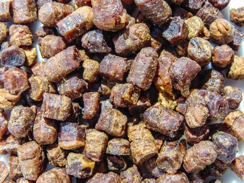 Group of bee bread. Macro bee bread Stock Photos