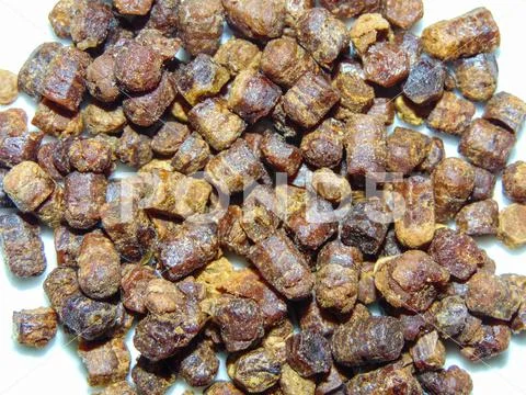 Group of bee bread. Macro bee bread 스톡 사진