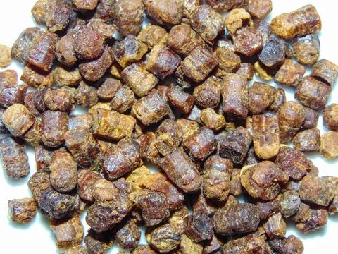 Group of bee bread. Macro bee bread 스톡 사진