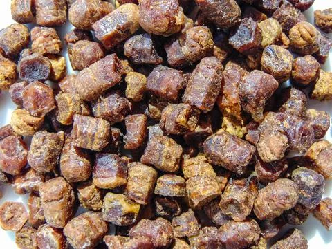 Group of bee bread. Macro bee bread Stock Photos