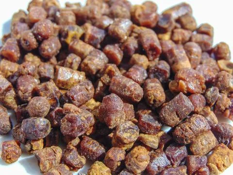 Group of bee bread. Macro bee bread Stock Photos