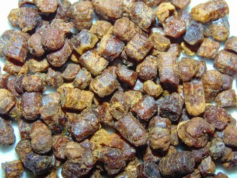 Group of bee bread. Macro bee bread 写真素材