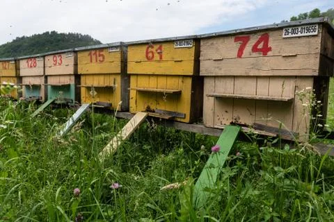 Group of Beehives Stock Photos