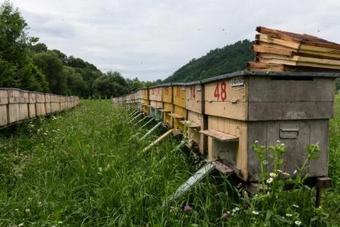 Group of Beehives Stock Photos