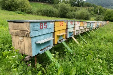 Group of Beehives Stock Photos