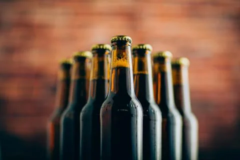 Group of beer bottles shoot with selective focus Stock Photos