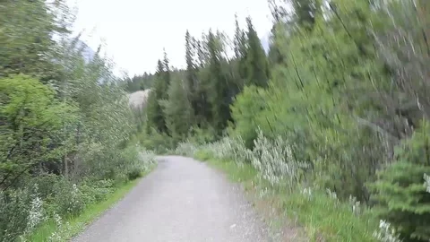 Group of bikers ride on forest path Stock Footage 112365914
