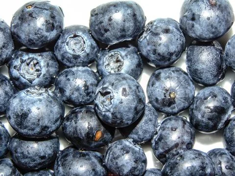 Group of bilberries fruit - closeup Stock Photos