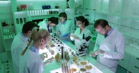 Group of Biologists Team Working Discussion Organic Plants and Seeds Laboratory Stock Footage 81491314