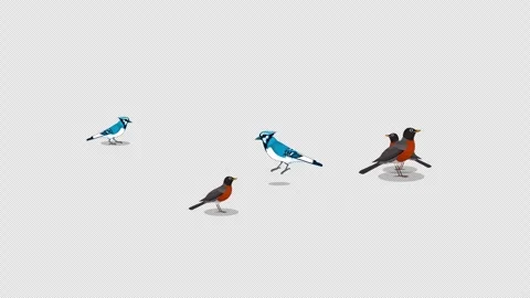 Group of Birds Animation with Transparent Background. Multiple birds flying  Stock Footage 325498808