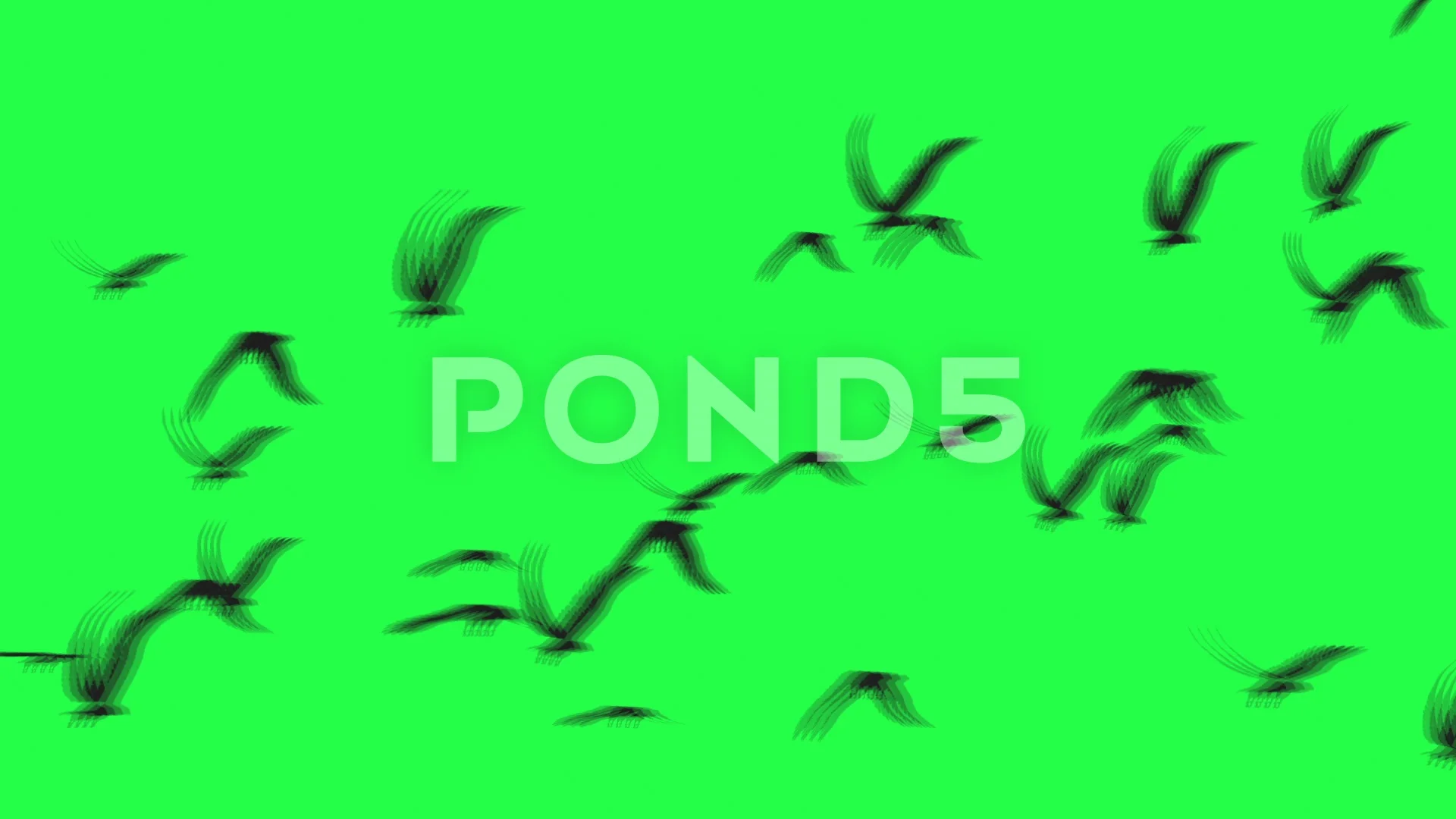 Group of birds with isolated sky - green... | Stock Video | Pond5