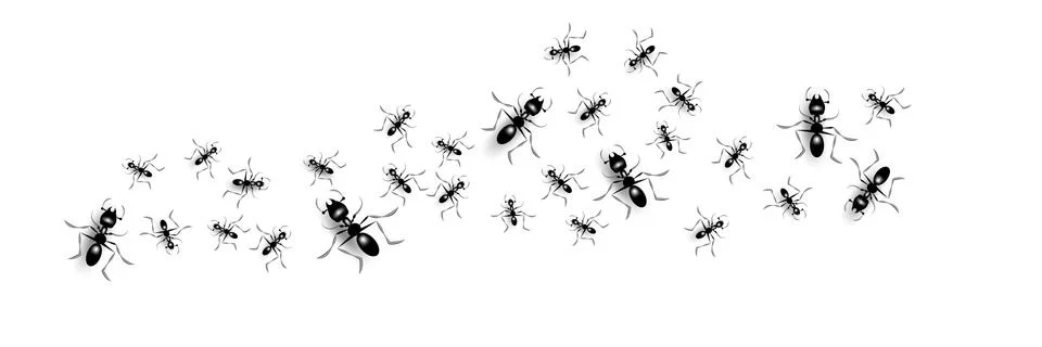 Group of black ants Illustrazione stock