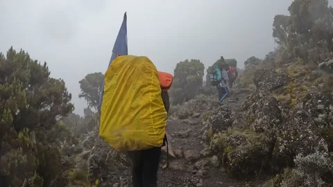 Group of black porters on a mountain path on the way to Kilimanjaro Stock-Footage 169337765