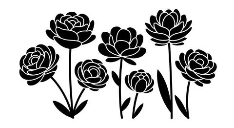 A group of black roses on white background Stock Illustration