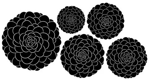A group of black roses on a white background Stock Illustration