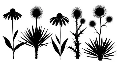 A group of black silhouettes of various plants and flowers Stock Illustration