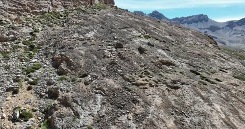 A group of blue sheep roaming on the rugged mountain slopes Stock Footage 274178591