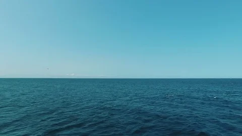 Group of blue whales in the ocean Stock Footage 72288646