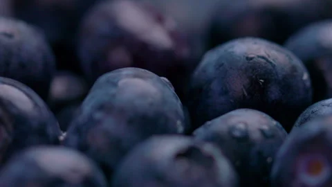 Group of blueberries with shallow depth of field Stock Footage 273555579