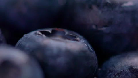 Group of blueberries with shallow depth of field Stock Footage 273710962