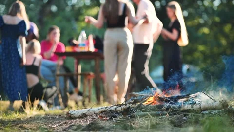 Group of blurred students celebrating their graduation with a bonfire and picnic Stock Footage 316092196